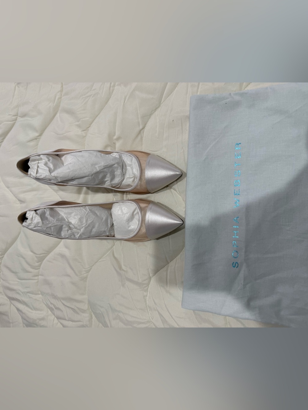 Sophia Webster Jasmine Crystal pump Sheer Pointed Toe Flats in Champagne/Silver